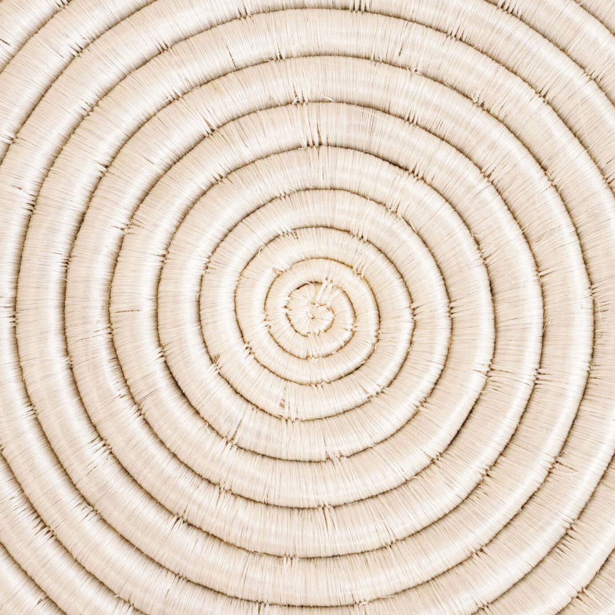 12" Sisal Placemat in White