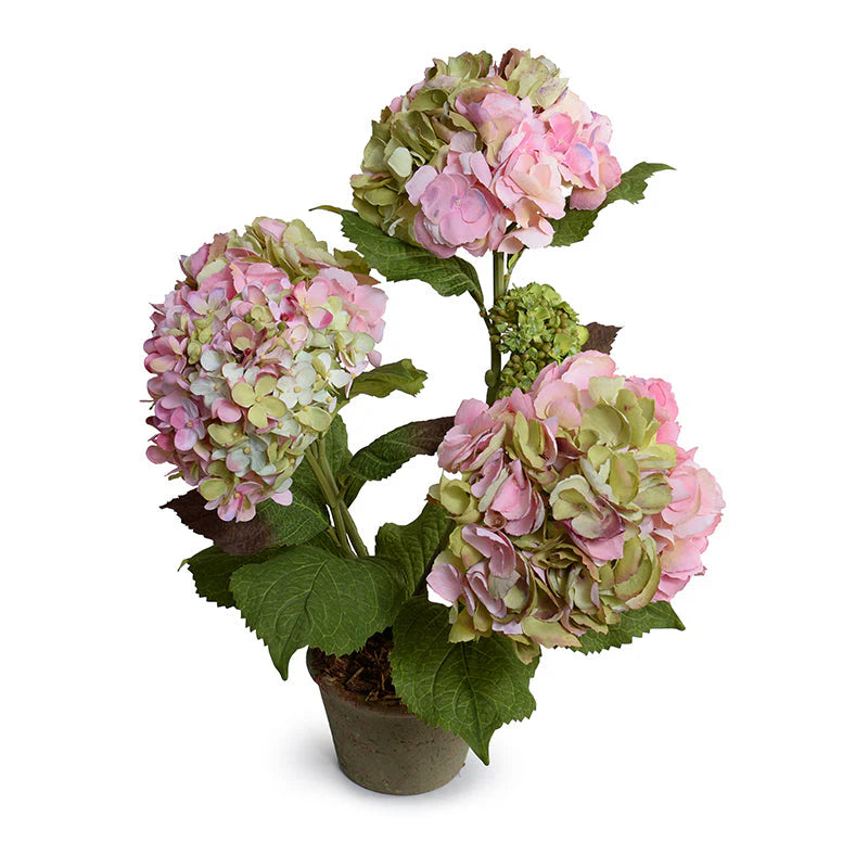 Hydrangea Bush Small 22"H - Sea Green Designs
