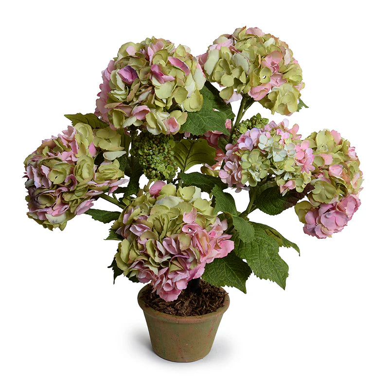 Hydrangea Bush Medium 25"H - Sea Green Designs