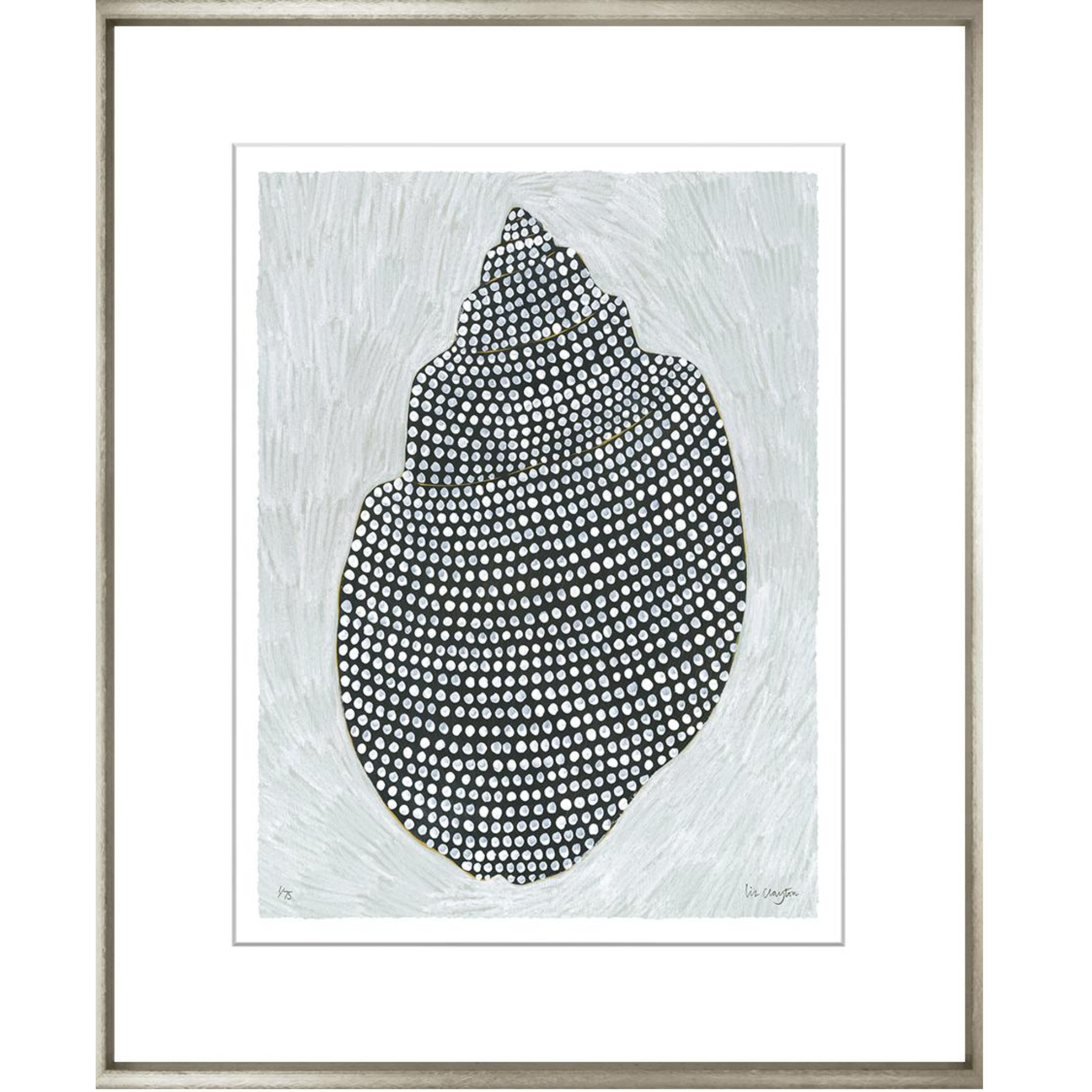 Decorative Shells | Image #2 with Mat - Sea Green Designs