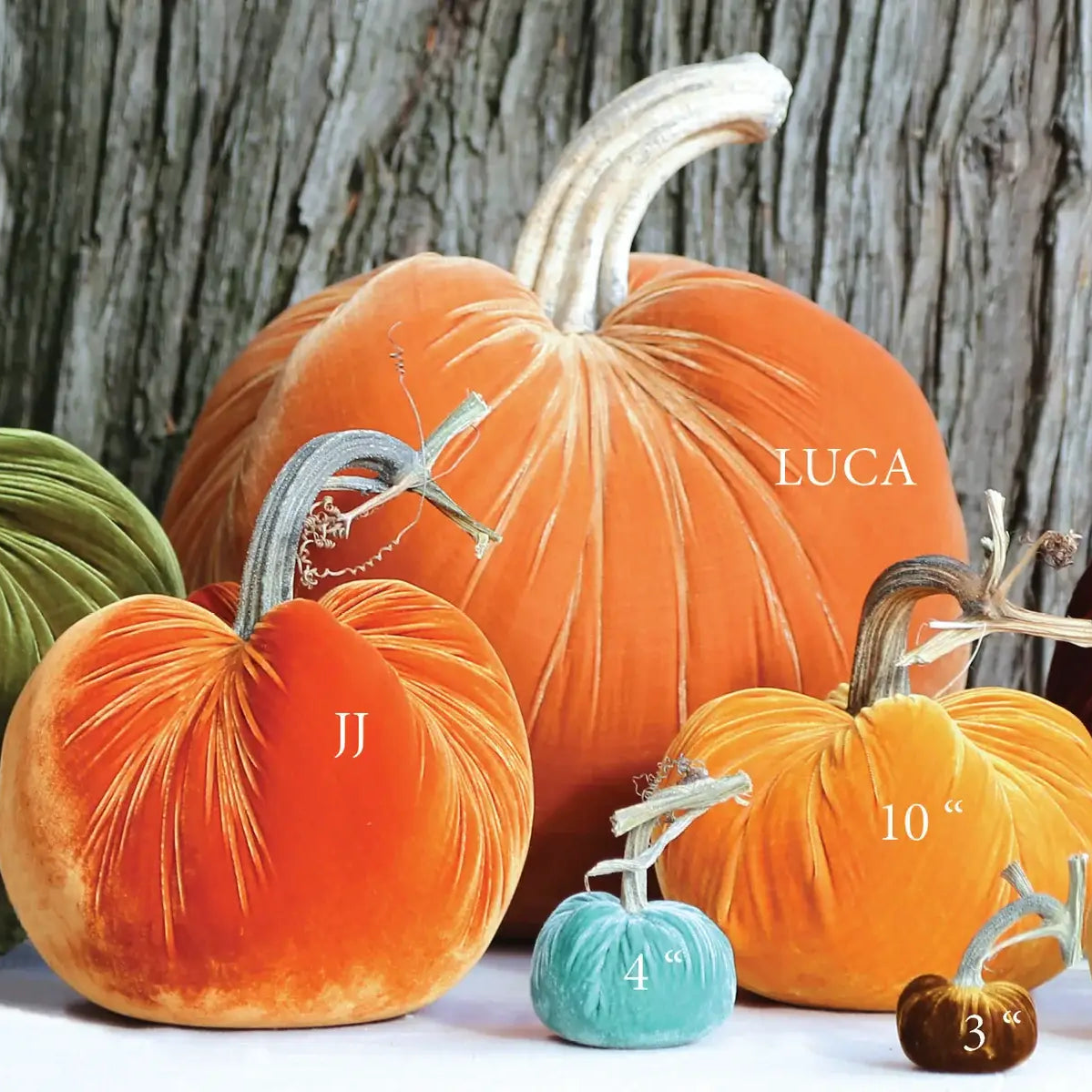 Wedgewood Silk Velvet Pumpkin - Sea Green Designs