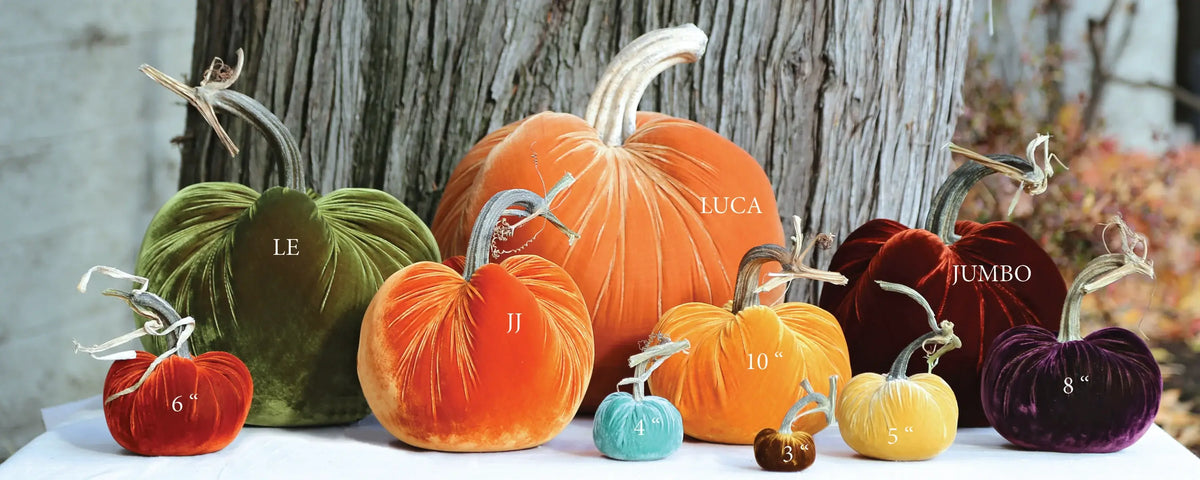 Mocha Silk Velvet Pumpkin - Sea Green Designs