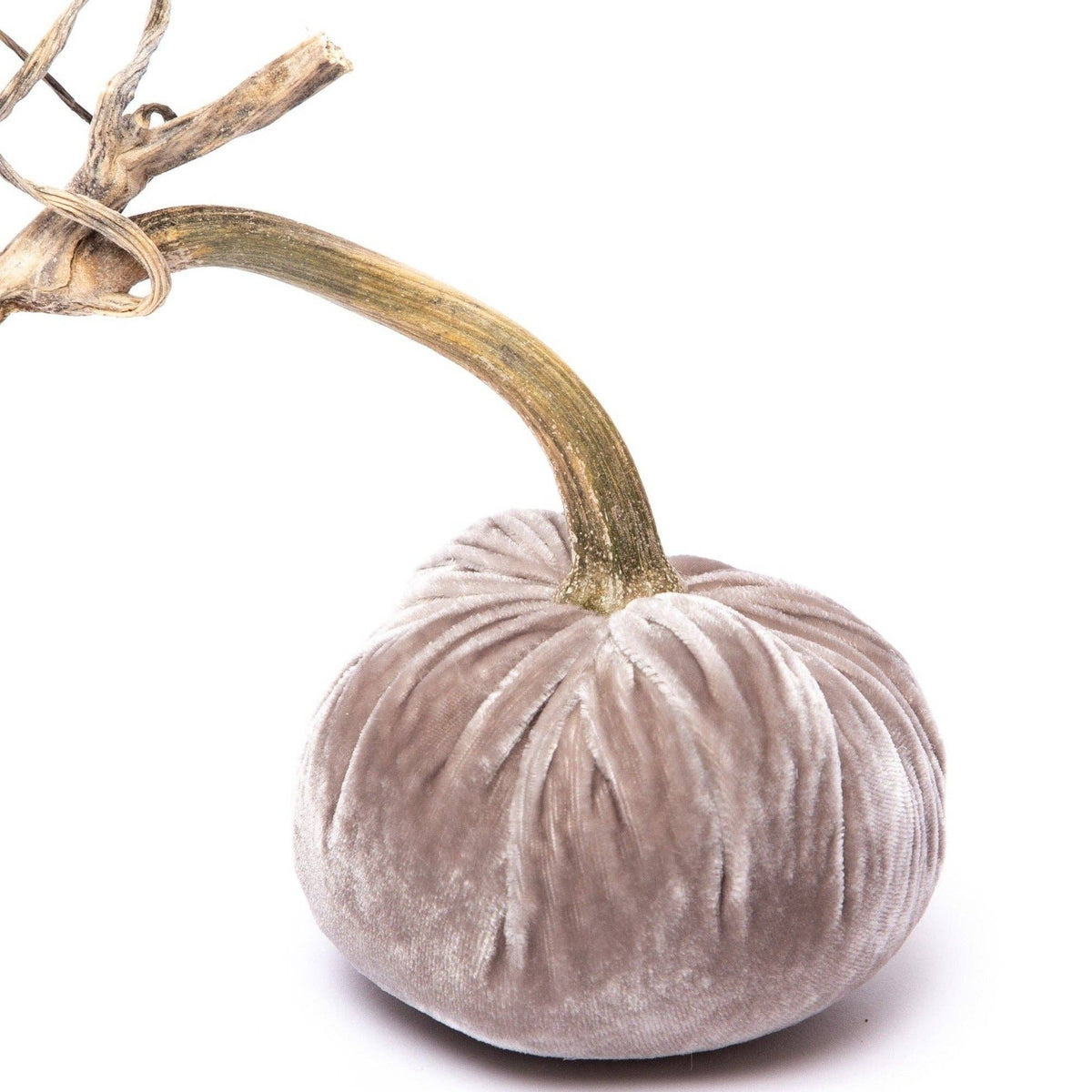 Putty Silk Velvet Pumpkin - Sea Green Designs