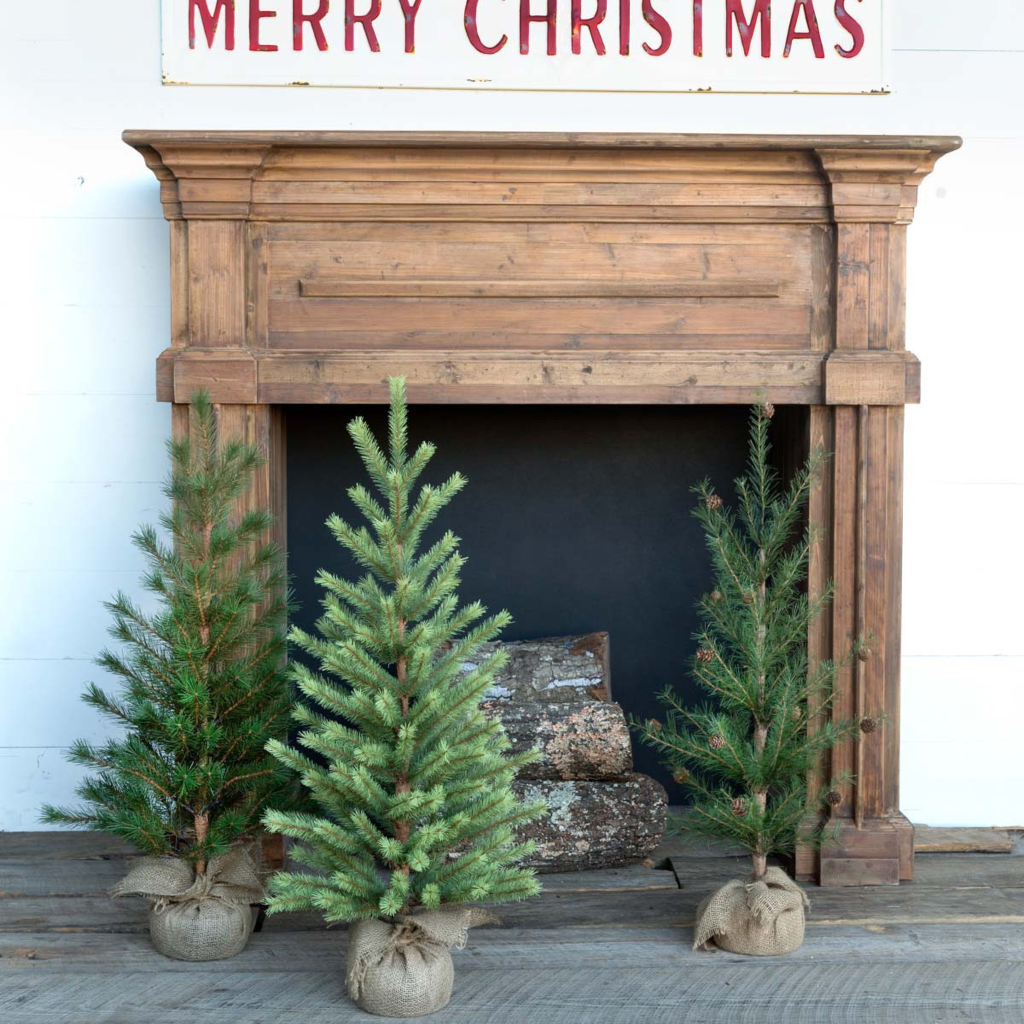 Faux Seedling Tree - Sea Green Designs