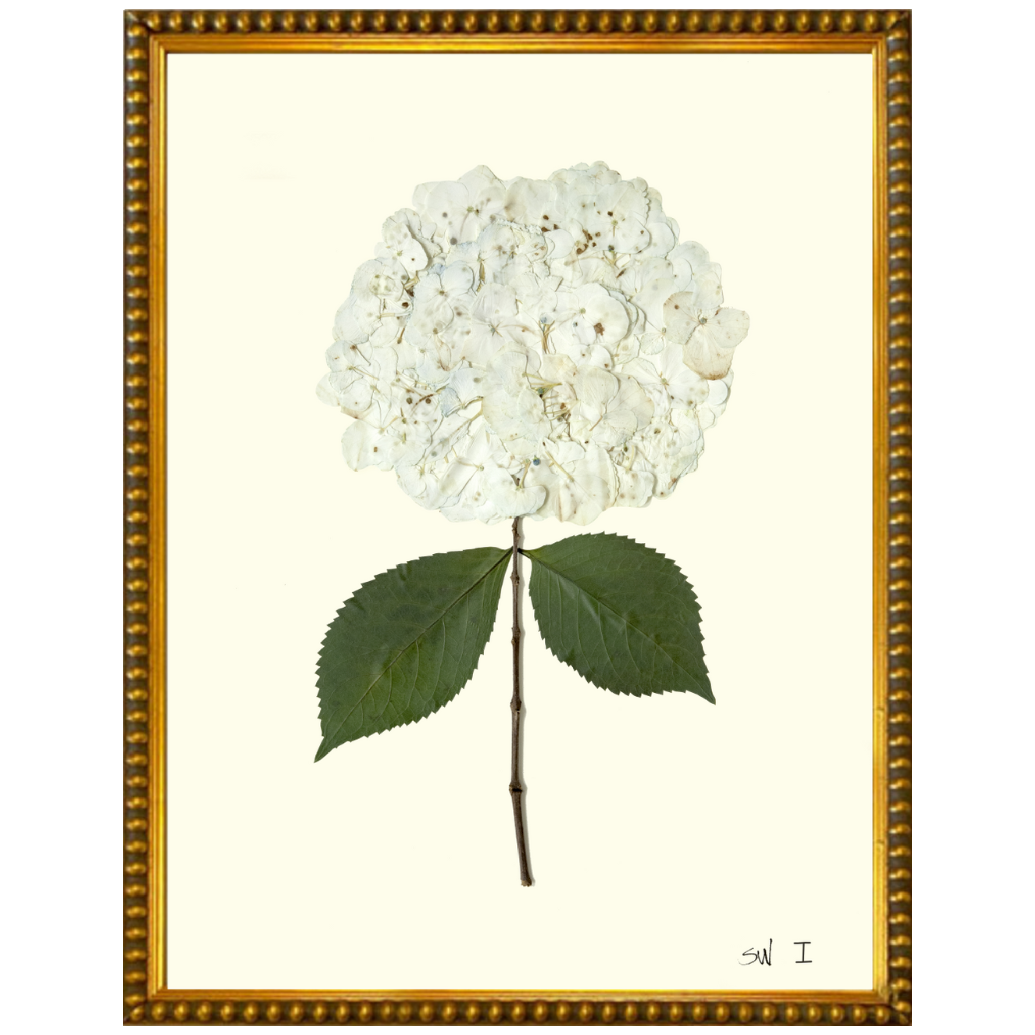 Hydrangea I-Gold Bead-Sea Green Designs