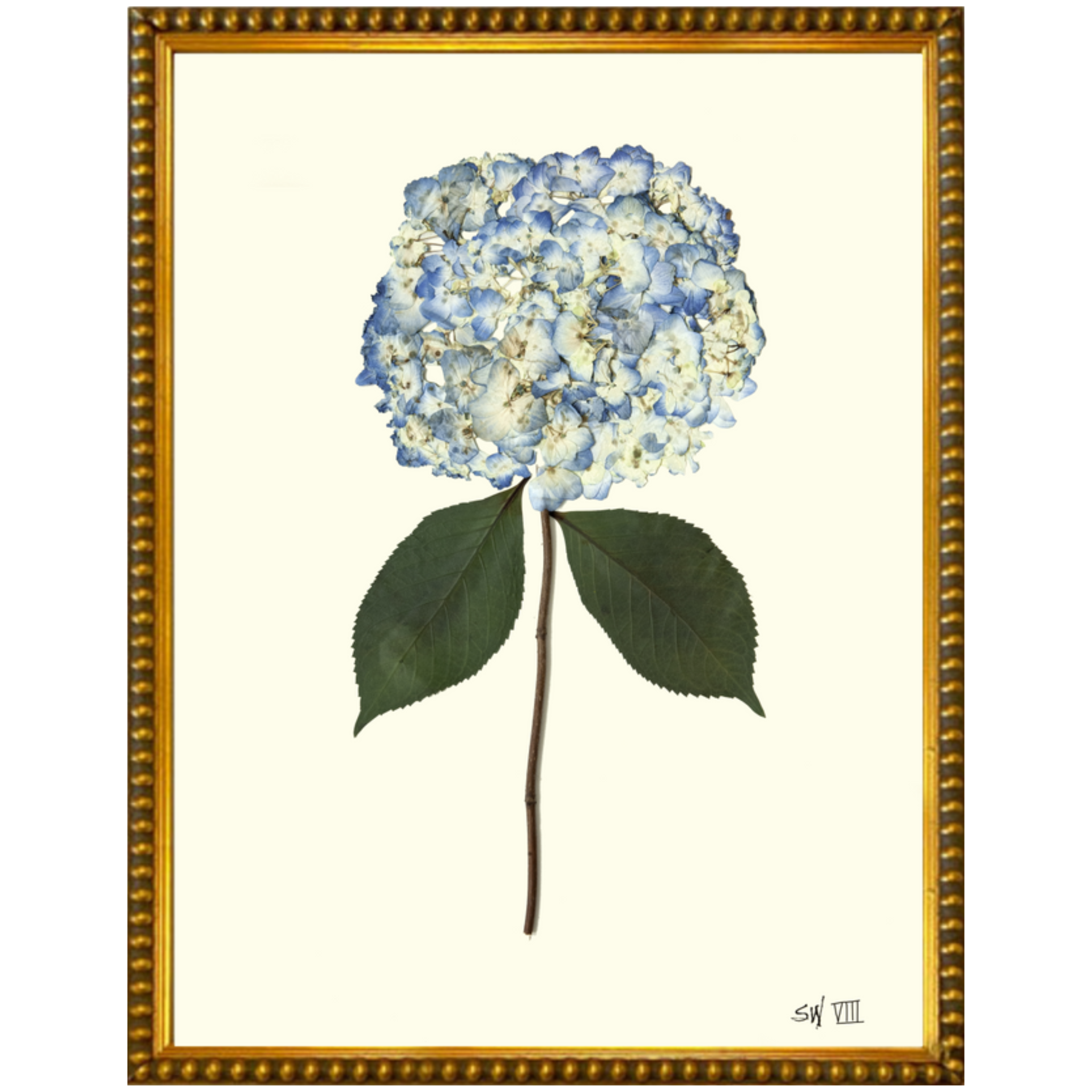 Hydrangea VIII-Gold Bead-Sea Green Designs