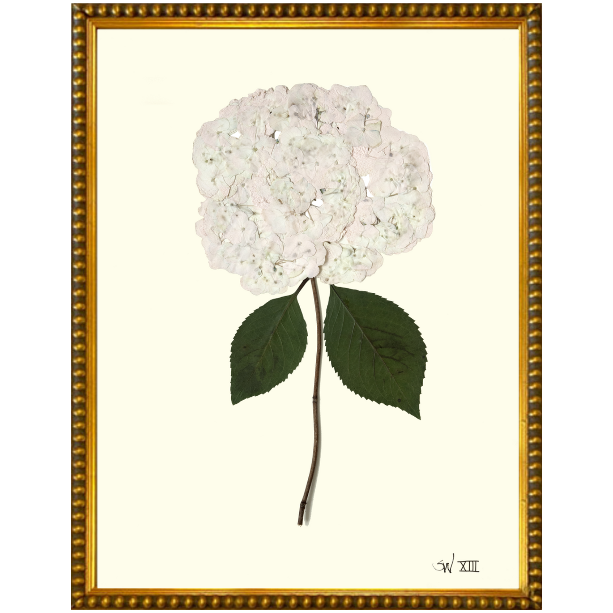 Hydrangea XIII-Gold Bead-Sea Green Designs