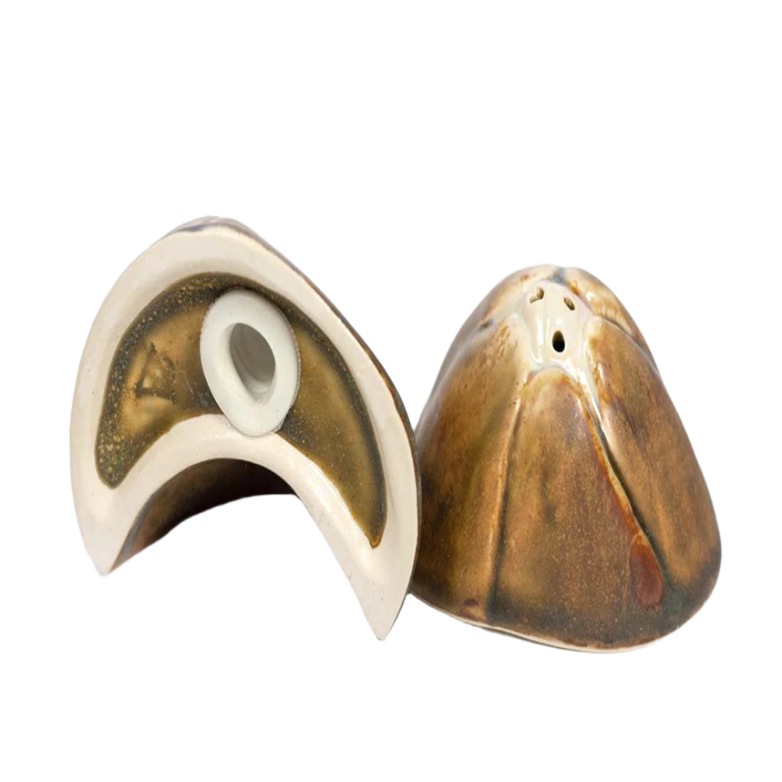Barnacle Salt & Pepper Shakers, Mint and Tortoise - Sea Green Designs