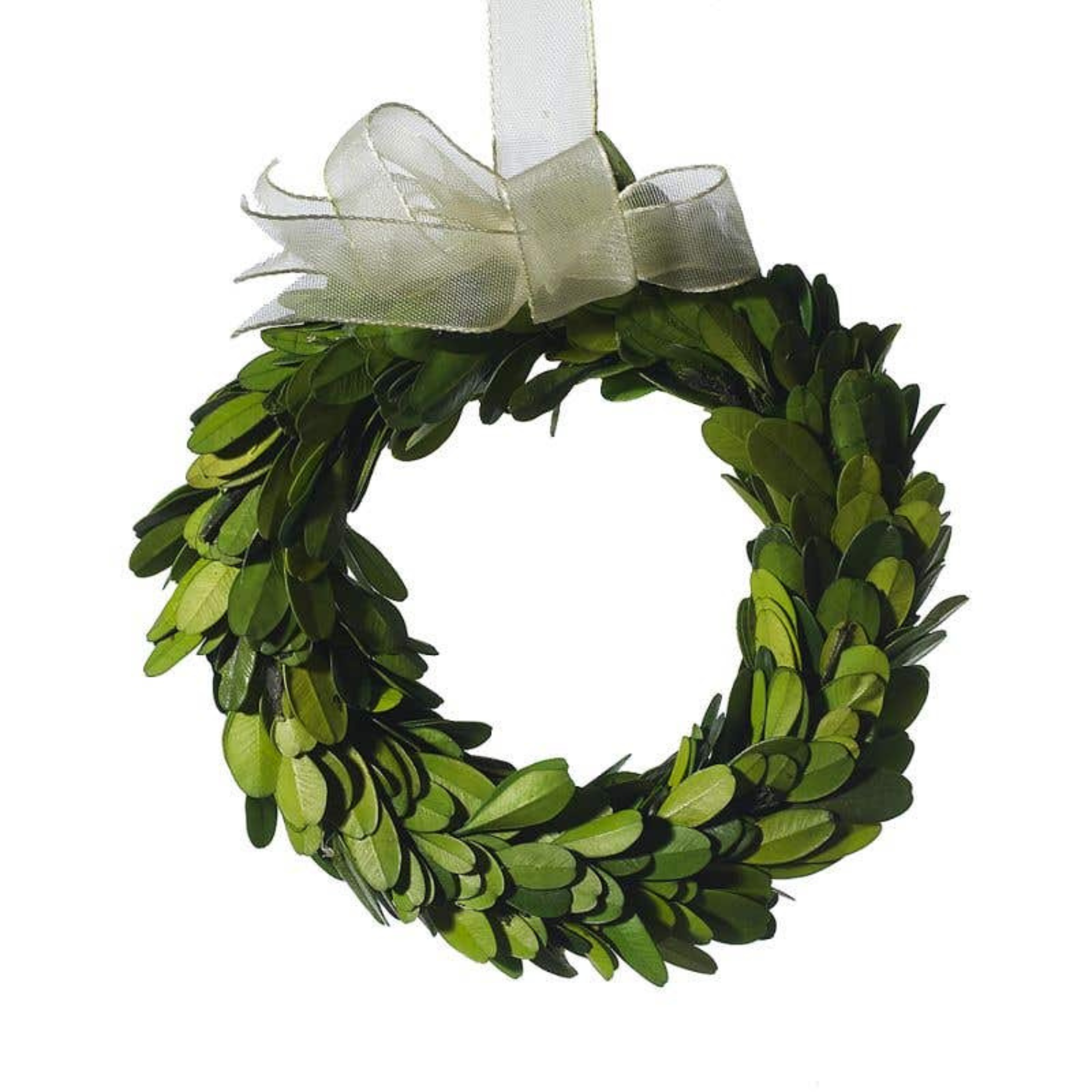 Mini Boxwood Circle Wreath 6" - Sea Green Designs