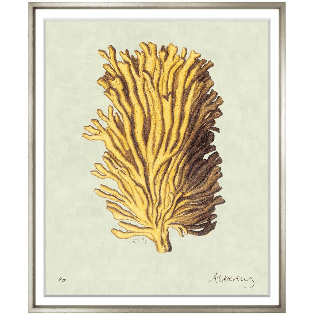 Albertus Coral Collection - Sea Green Designs