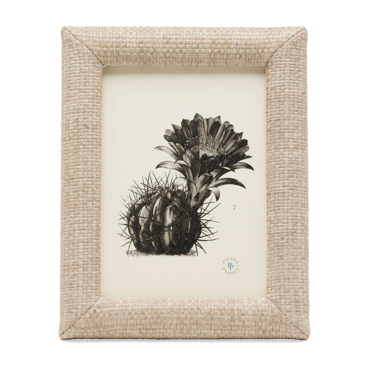 A framed botanical art print featuring a detailed black ink illustration of a cactus and succulent on an off-white background, enclosed in a textured beige woven frame.