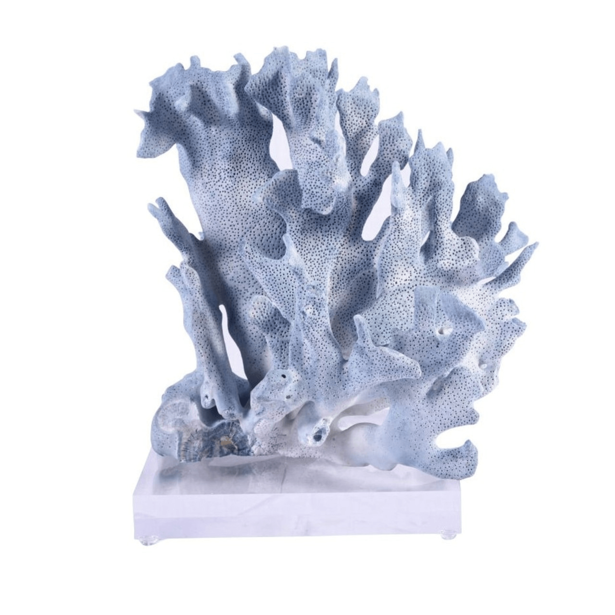 Blue Coral on Acrylic Base - Sea Green Designs