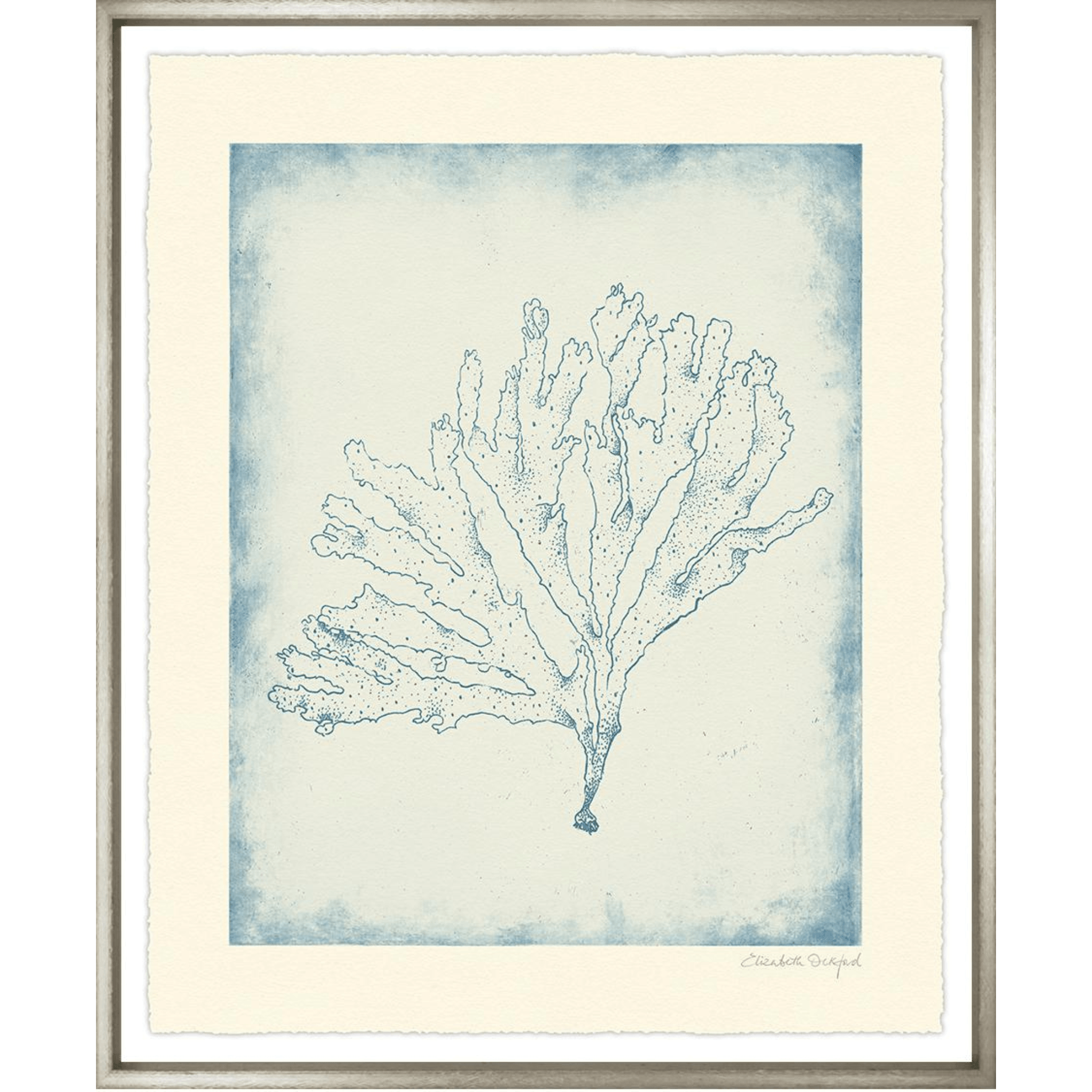 Corals II - Sea Green Designs