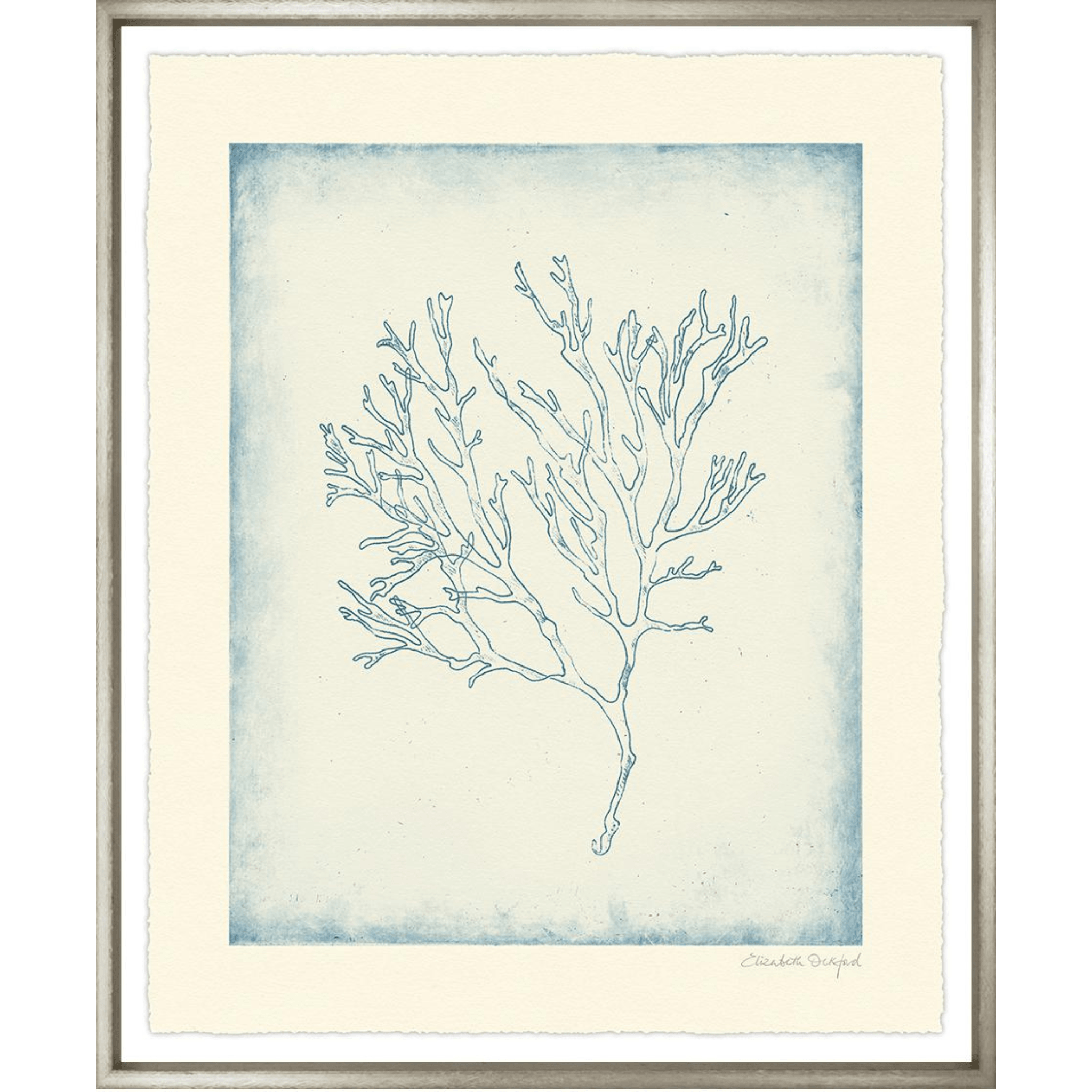 Corals II - Sea Green Designs