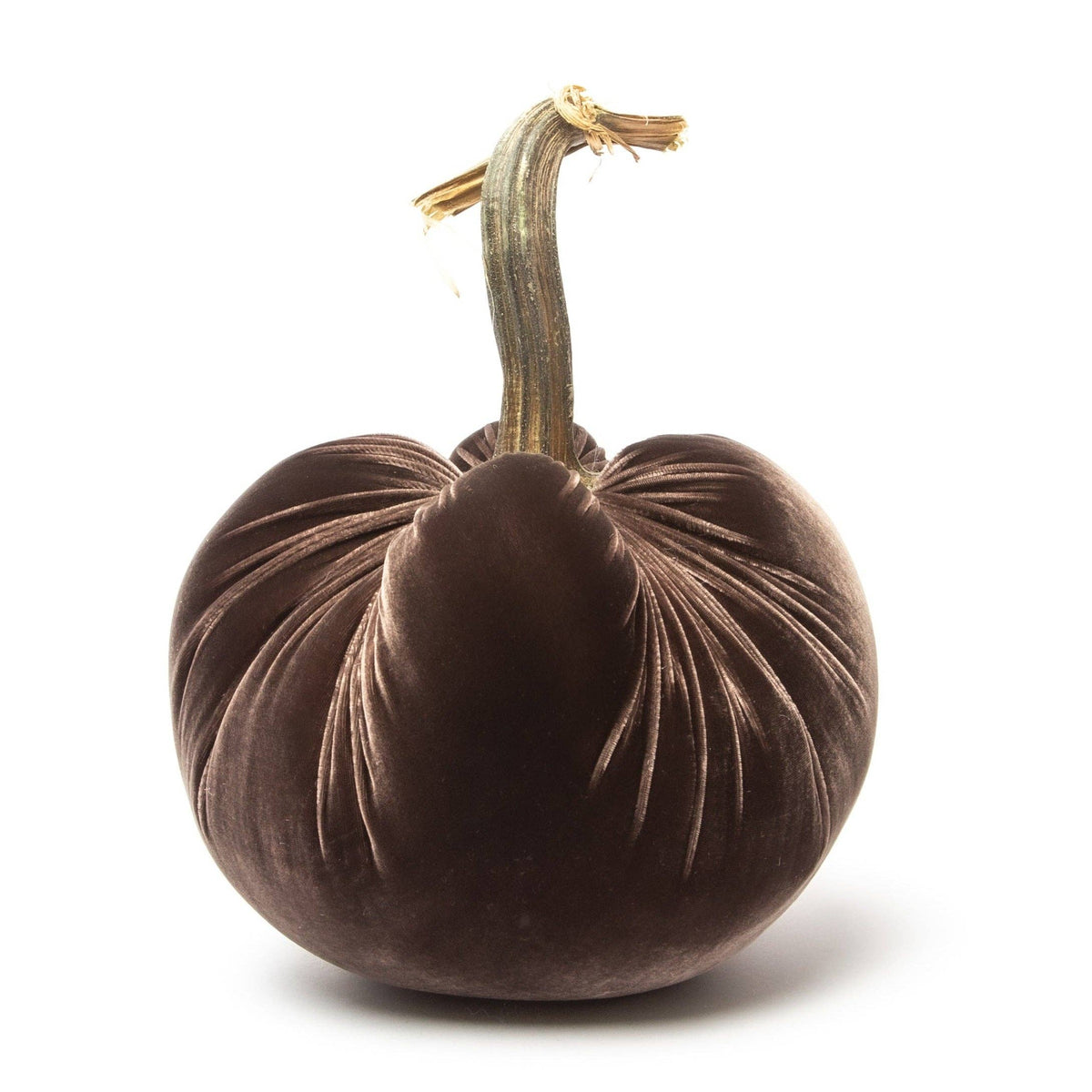 Espresso Silk Velvet Pumpkin - Sea Green Designs