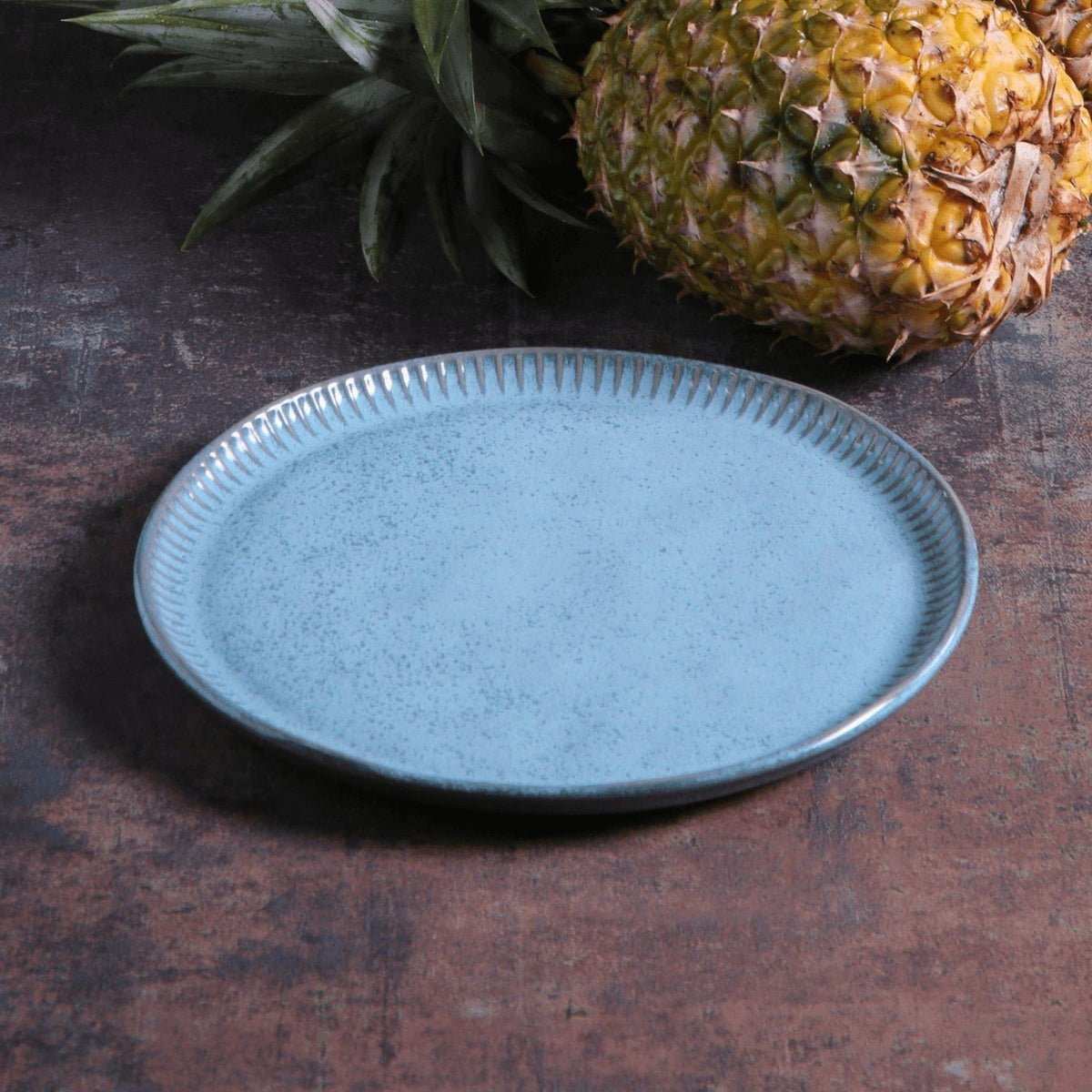 Dinner Plate, Set of 6