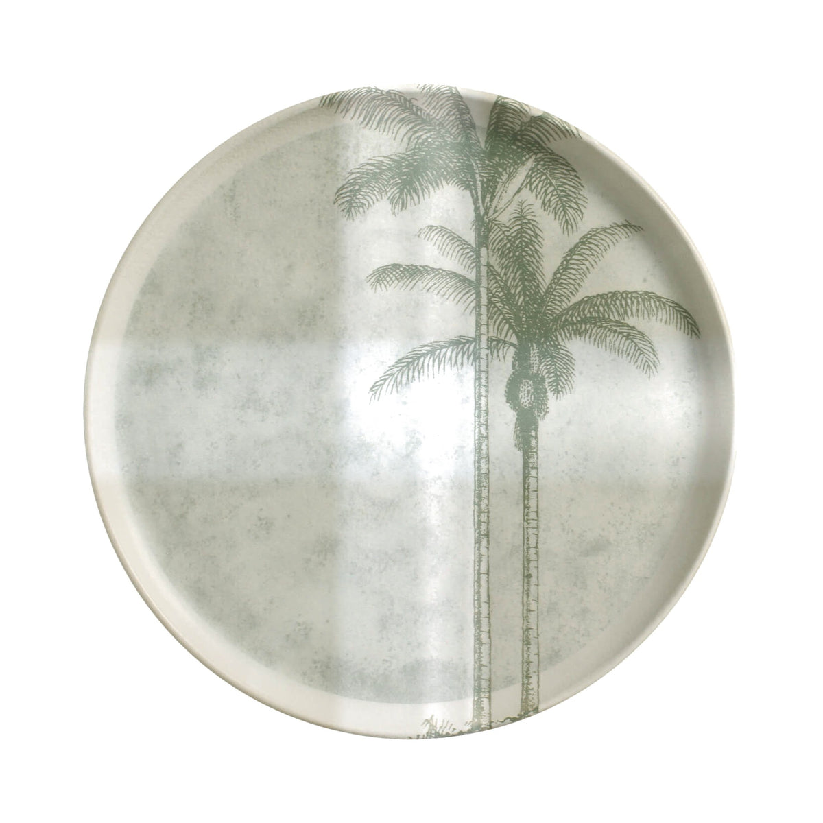 Dinner Plate, Set of 6
