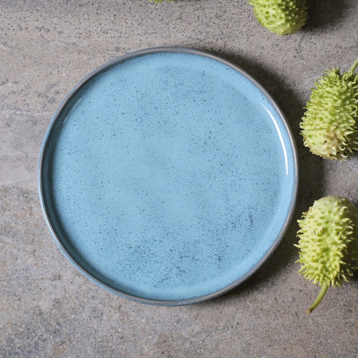 Dinner Plate, Set of 6