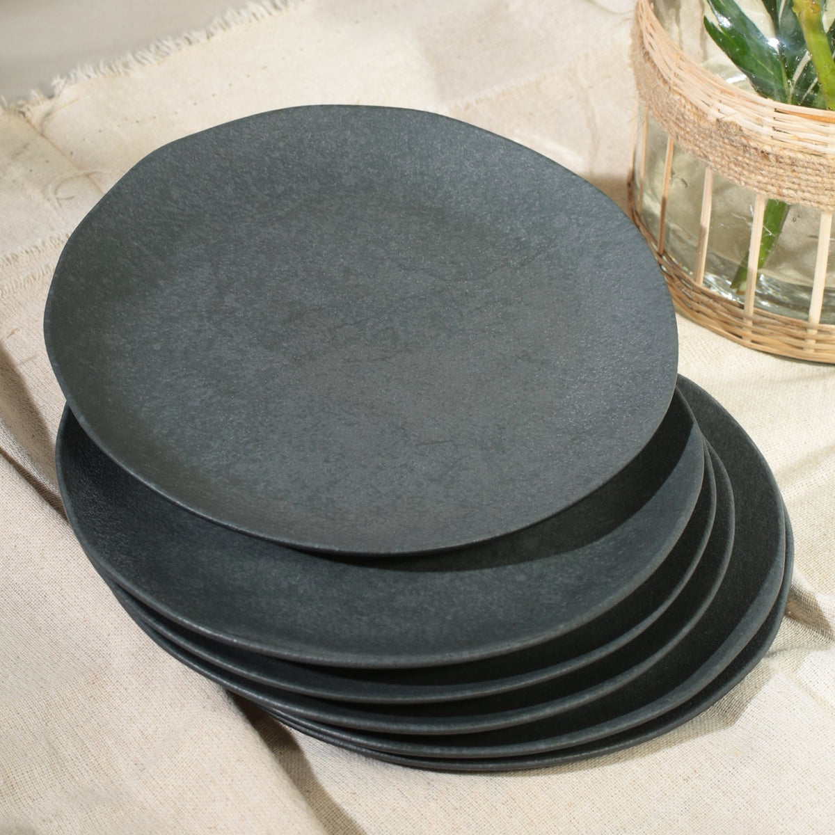 Dinner Plate, Set of 6