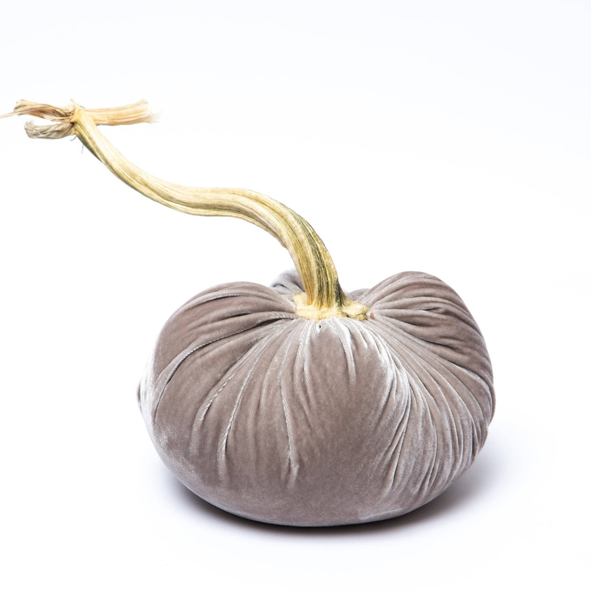 Putty Silk Velvet Pumpkin - Sea Green Designs