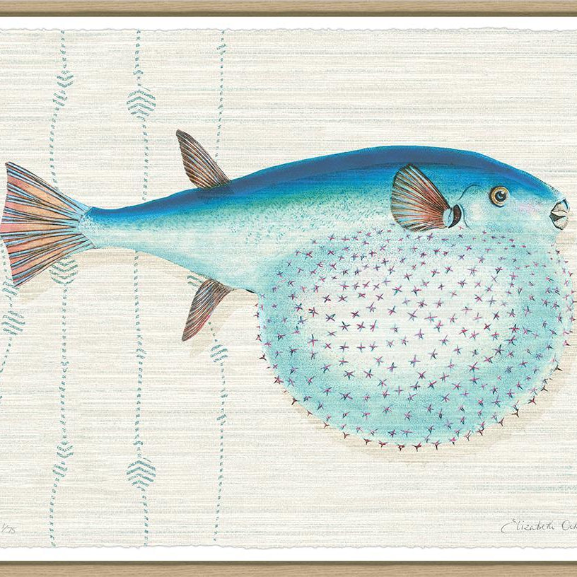 Kitts By Elizabeth Ockford - Sea Green Designs
