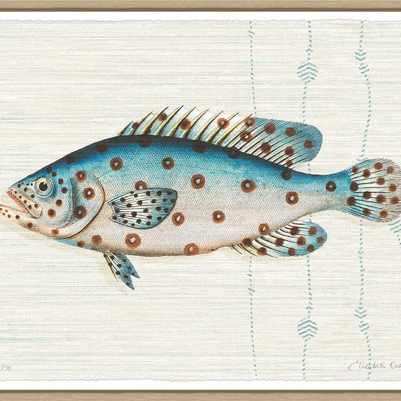 Kitts By Elizabeth Ockford - Sea Green Designs