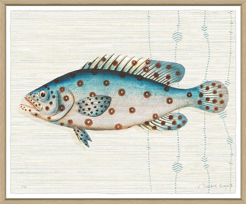 Kitts By Elizabeth Ockford - Sea Green Designs