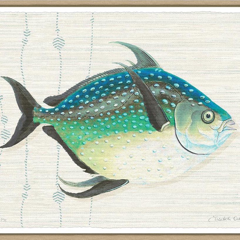 Kitts By Elizabeth Ockford - Sea Green Designs