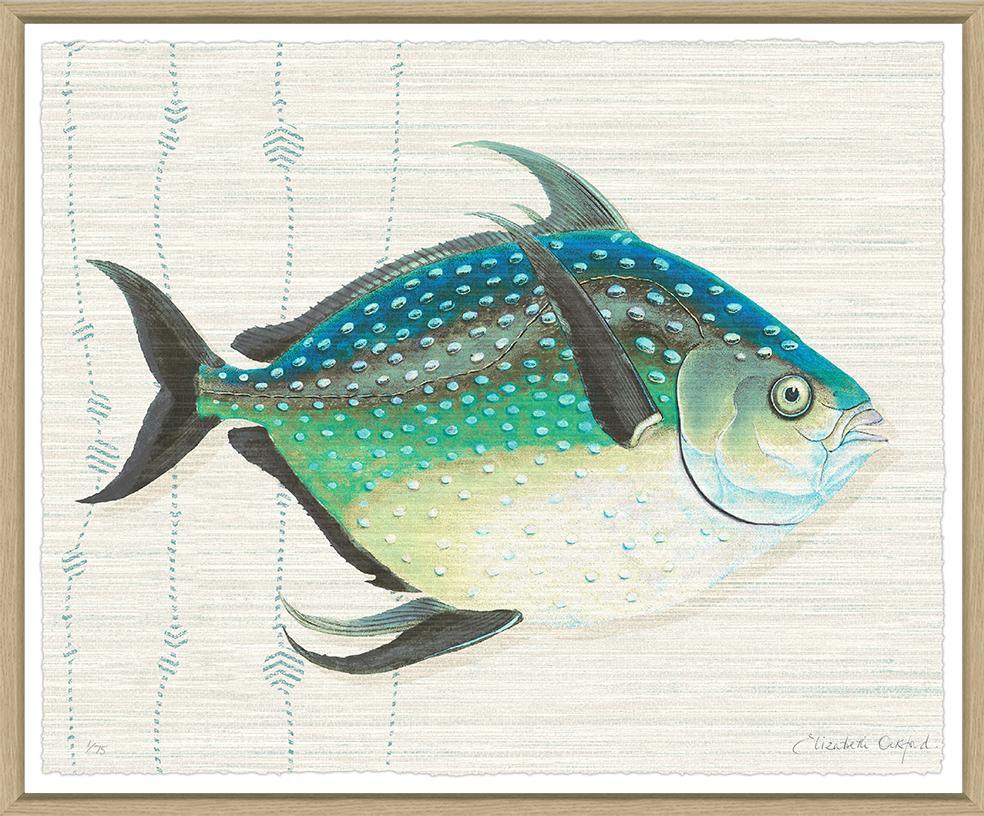 Kitts By Elizabeth Ockford - Sea Green Designs