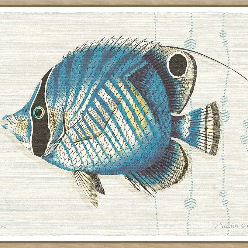 Kitts By Elizabeth Ockford - Sea Green Designs