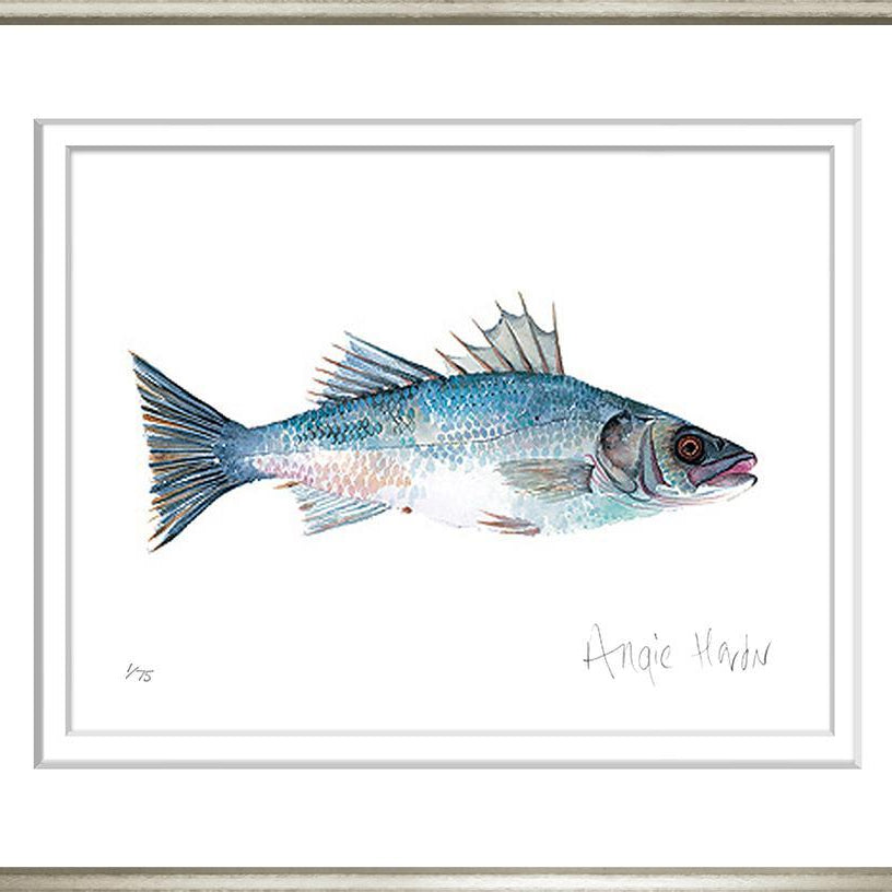 Sea Bass - Sea Green Designs