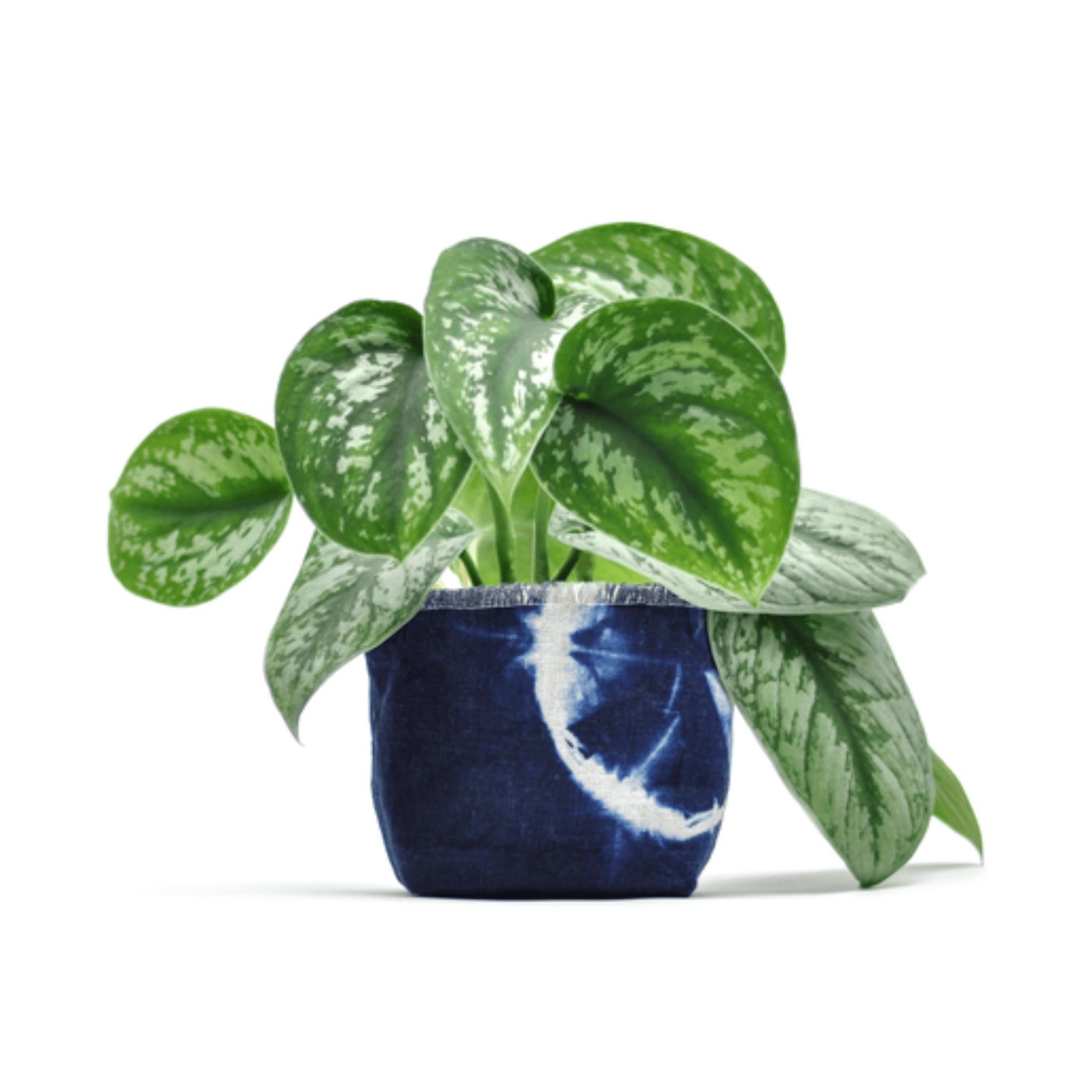 Shibori Indigo Planter - Sea Green Designs