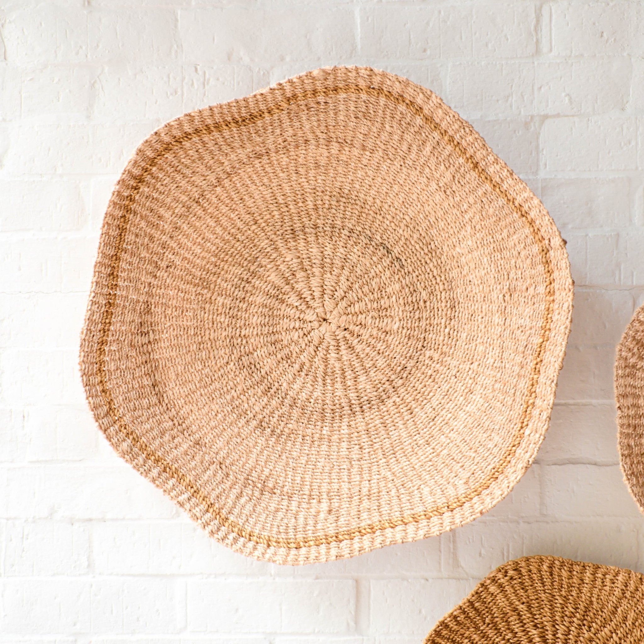 Scallop Wall Baskets, Large - Sea Green Designs