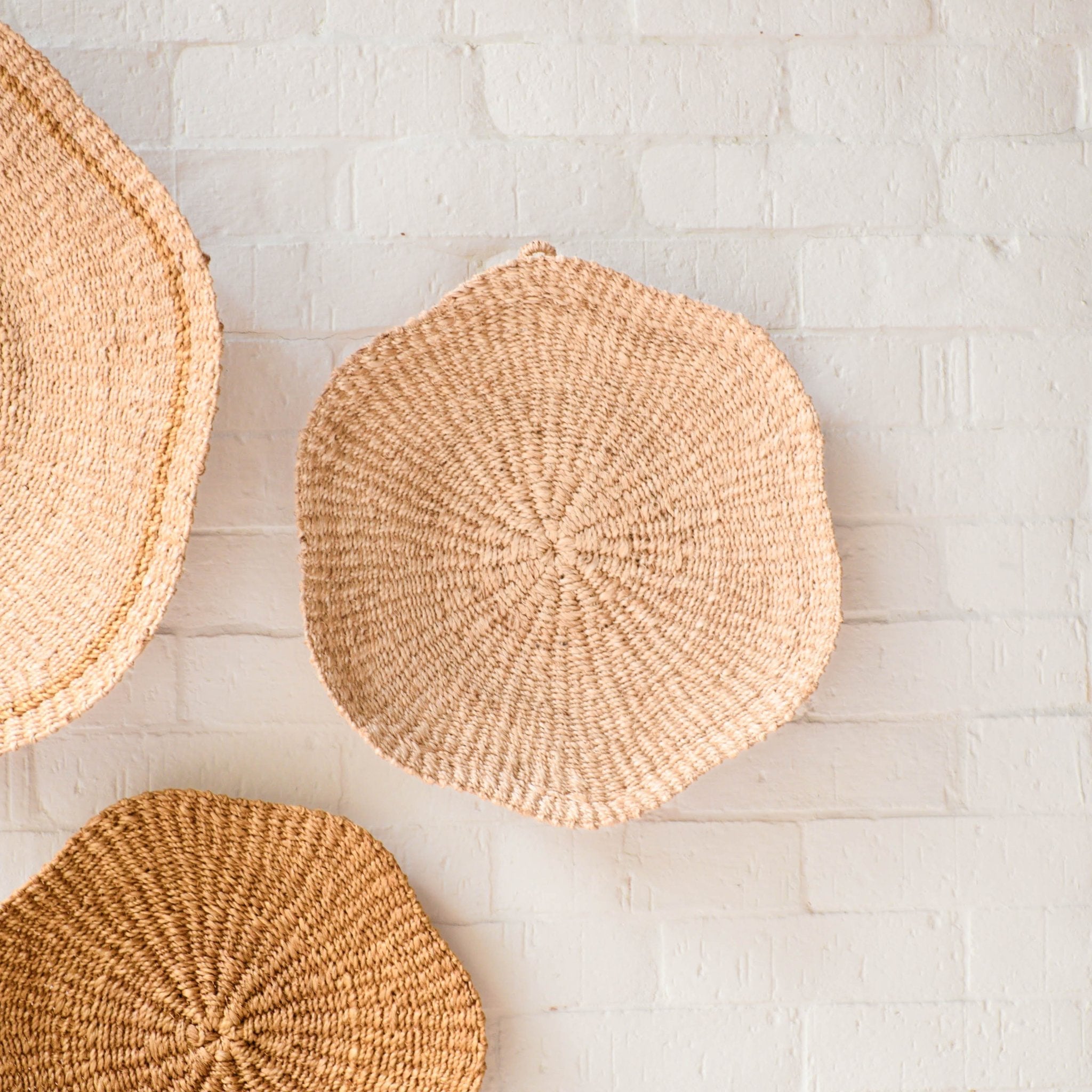 Scallop Wall Baskets, Medium - Sea Gren Designs