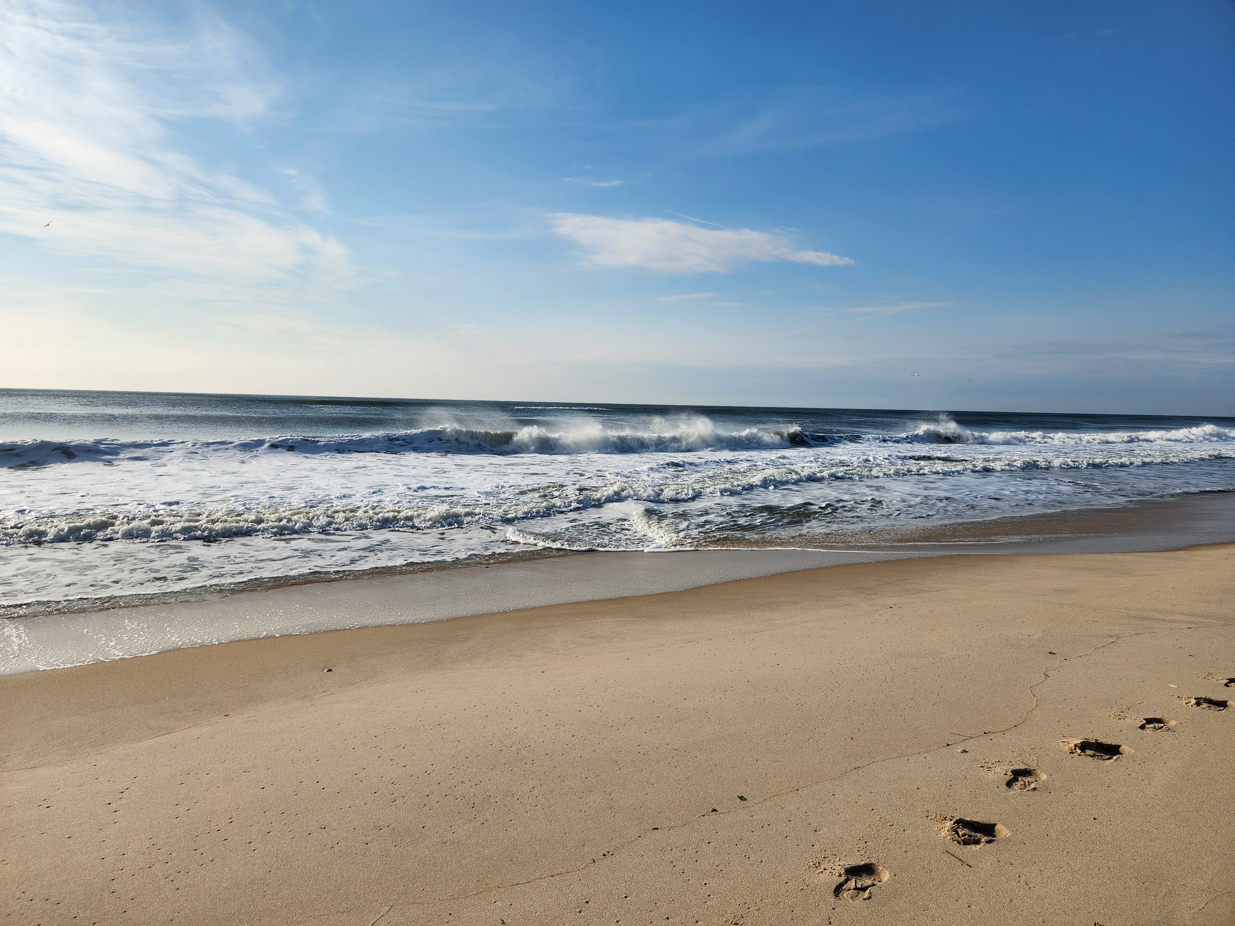 Gratitude and Connection: The Way to Start the New Year