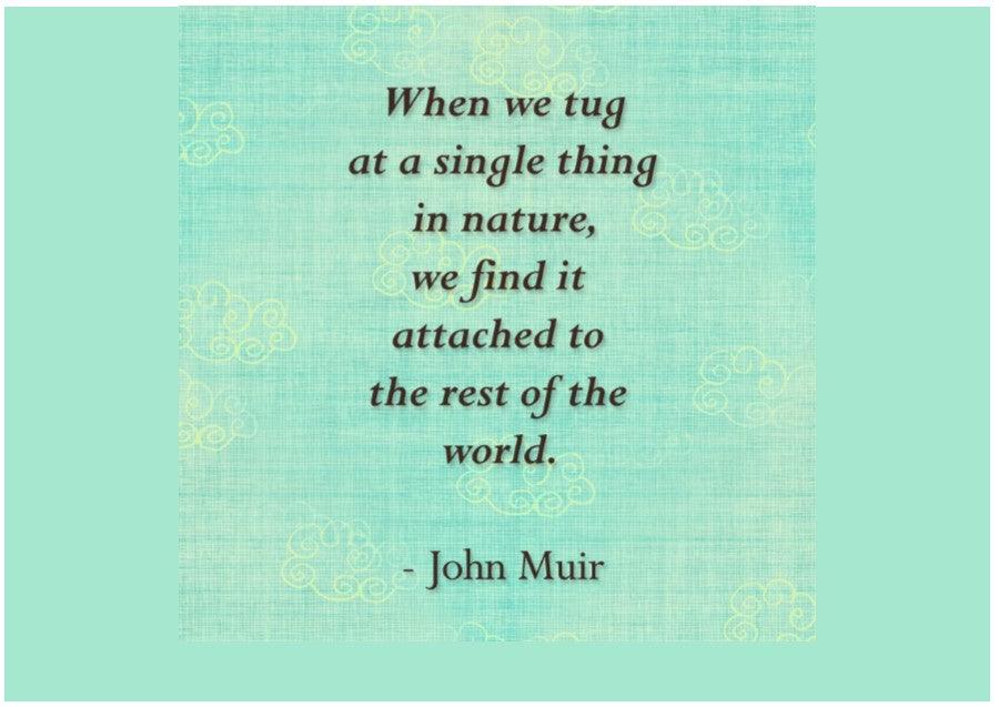 Celebrate Earth Day with Eco-friendly Home Furnishings and Accessories - Sea Green Designs