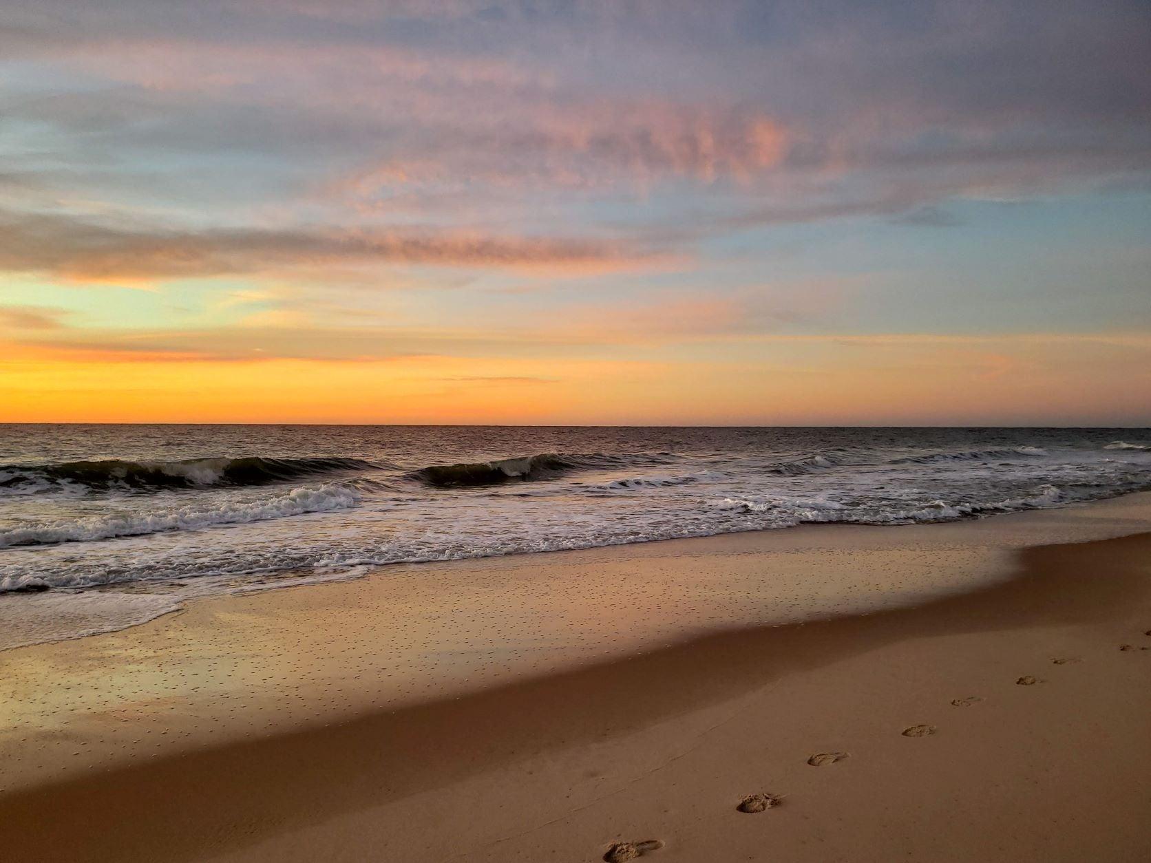 Earth Day:Let’s Celebrate  - Sea Green Designs