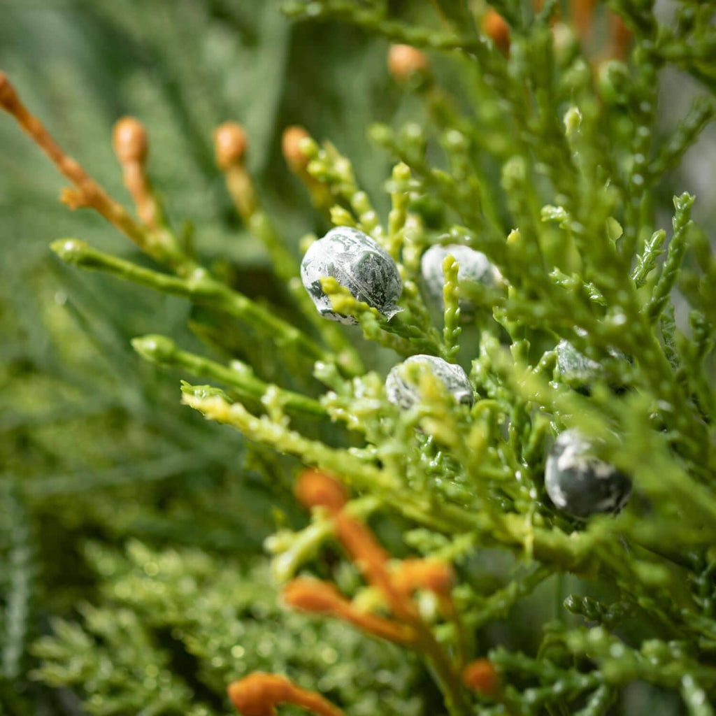 Mixed Pine & Juniper Garland - Sea Green Designs