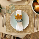 Rope Napkin Ring Set - Sea green Design