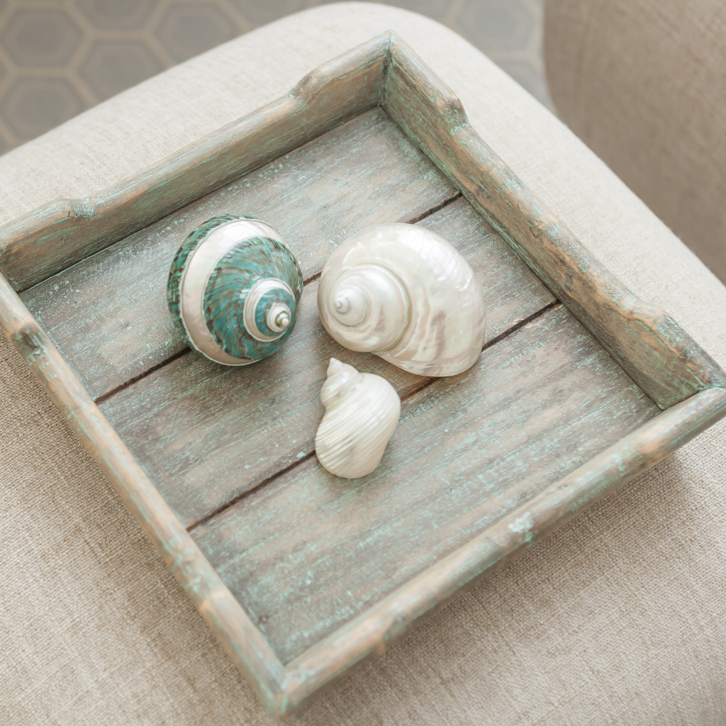 Wooden tray with three seashells on a textured surface