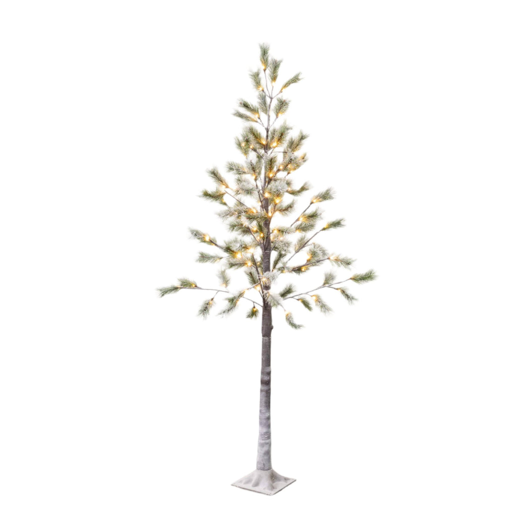 6' Lit Snowy Pruned Pine Tree - Sea Green Designs