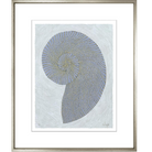 Decorative Shells | Image #3 with Mat - Sea Green Designs