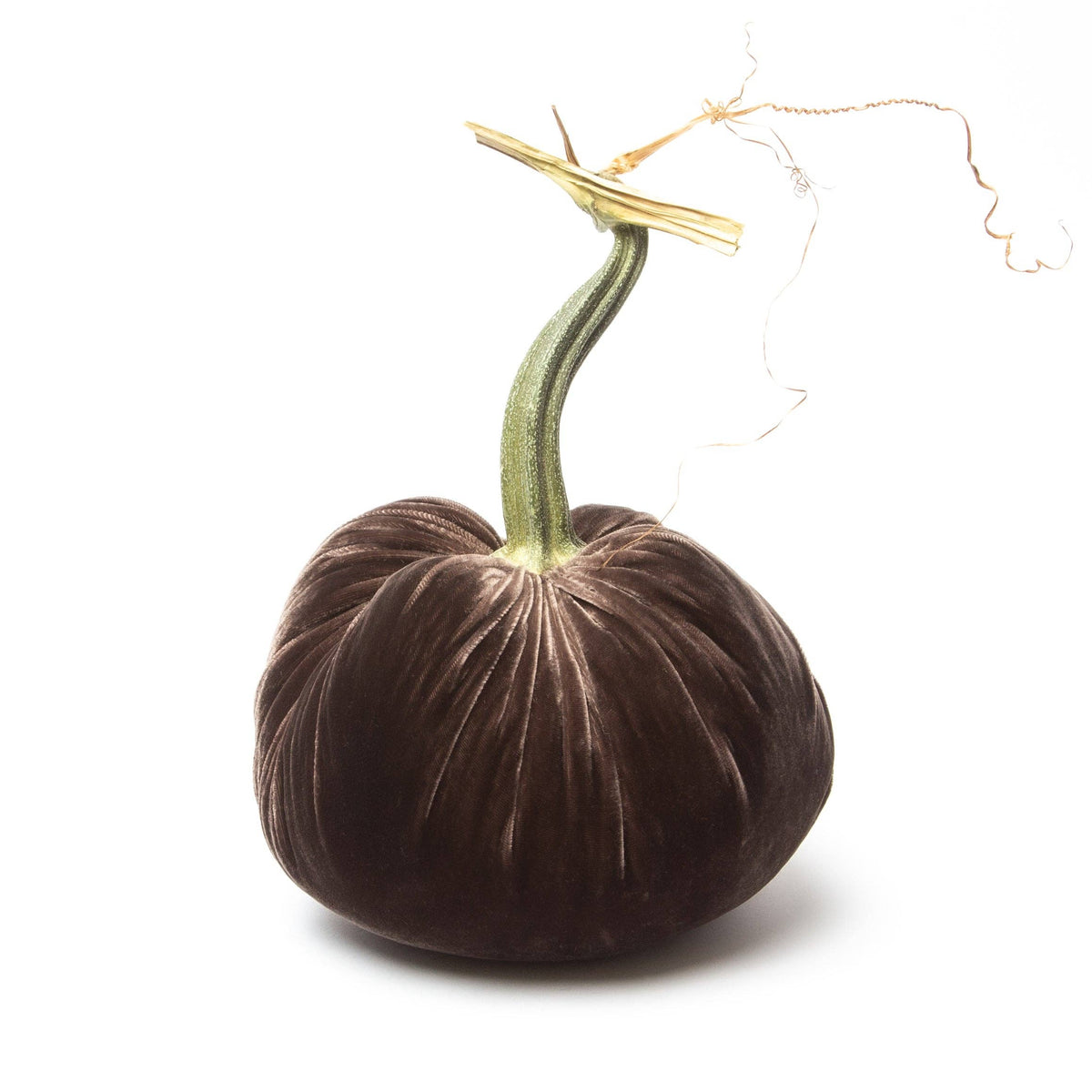 Espresso Silk Velvet Pumpkin - Sea Green Designs