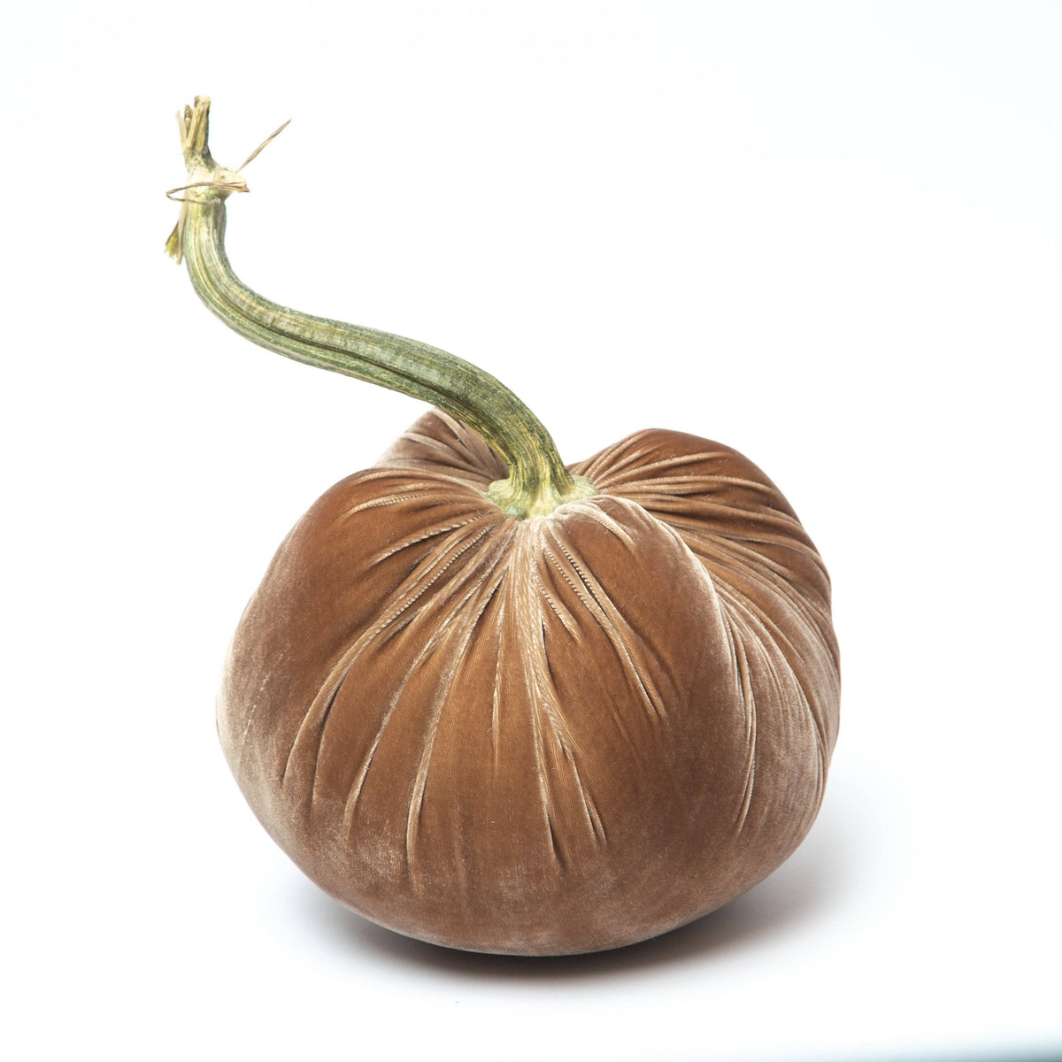 Mocha Silk Velvet Pumpkin - Sea Green Designs
