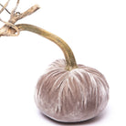 Putty Silk Velvet Pumpkin - Sea Green Designs