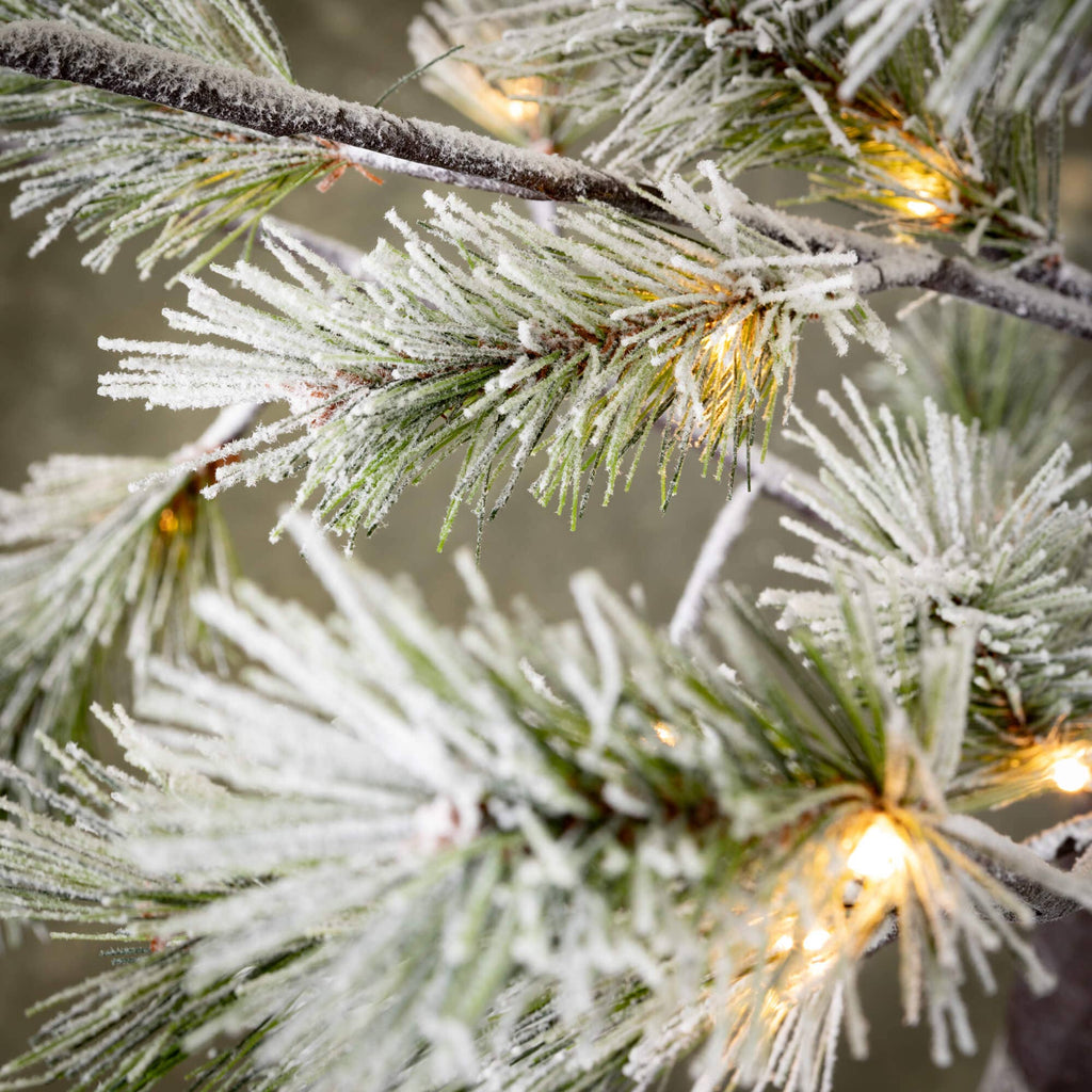 6' Lit Snowy Pruned Pine Tree - Sea Green Designs