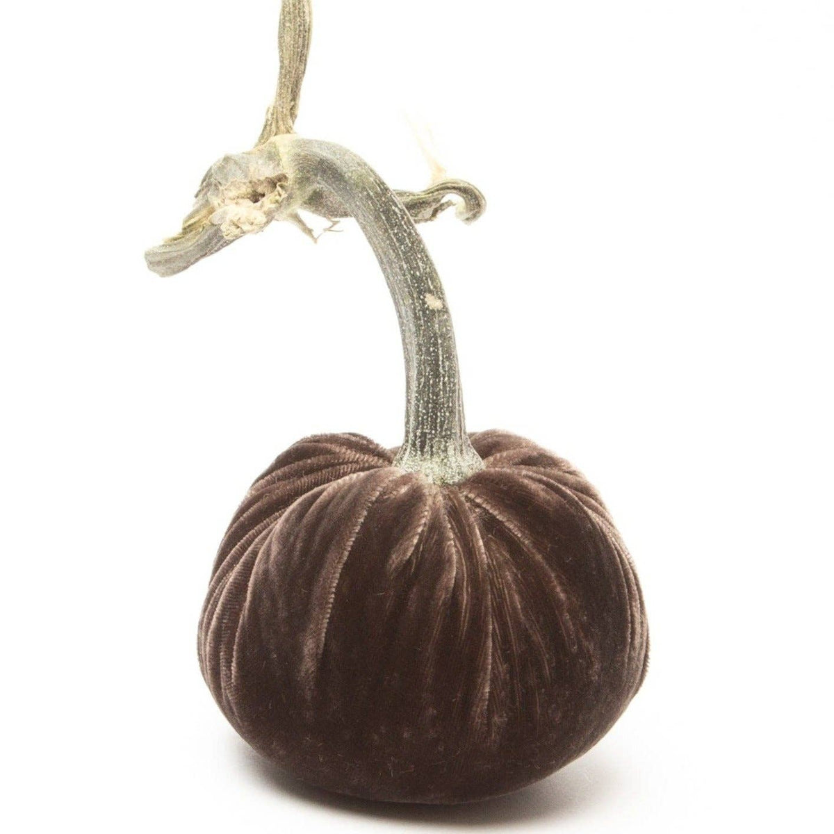 Espresso Silk Velvet Pumpkin - Sea Green Designs