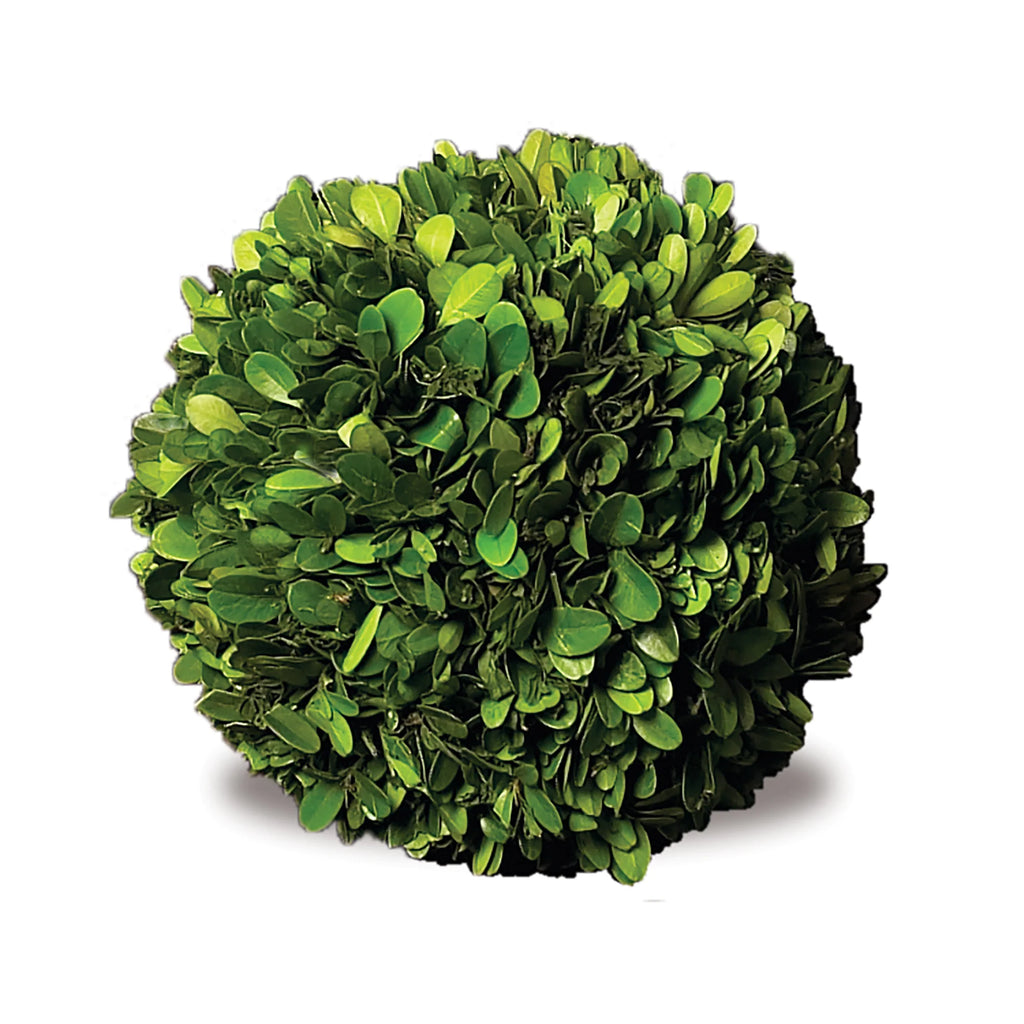 Boxwood Ball 6" - Sea Green Designs
