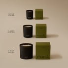 PINE — NOBLE FIR & BALSAM WOOD - Sea Green Designs