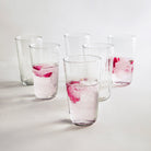 Hudson Tall Glasses, Set of 6 - Sea Green Designs